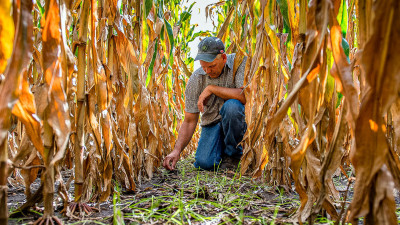 PepsiCo Invests $216M to Support Regenerative Ag Transformation on Over 3M Acres of US Farmland