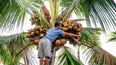 EU Proposes Plan to Hold Companies Accountable for Human Rights Violations