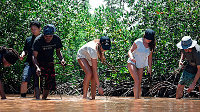 Bumble Bee Plants ‘SeaTrees’ to Kick Off Ocean-Regeneration Initiative