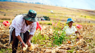 Landmark Report Sets Out 7 Steps for Embedding Nature, Equity Goals into Global Financial Activity