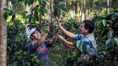 10K Farmers, 18 Countries, 8 Commodities & 4 Ways to Co-Create an Equitable, Sustainable Food System