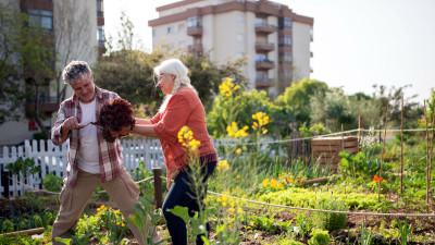 New Research Shows ‘Urban-Rural Divide’ Bridged by Interest in Sustainable Lifestyles