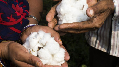 Trending: Fairtrade Foundation, Finnish Researchers Push for Alternative Textiles